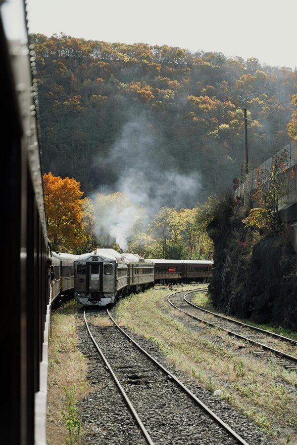 Découvrez les meilleures options pour le train vers machu picchu